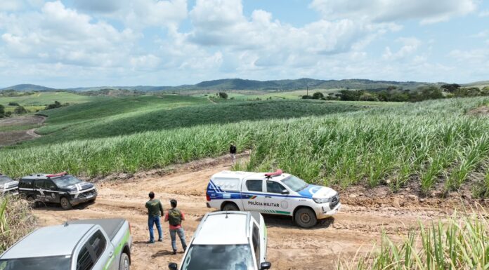 Operação Mata Atlântica em Pé 2026 estreia com fiscalização remota, embarga mais de 470 hectares e aplica RS 2,6 milhões em multas em Pernambuco