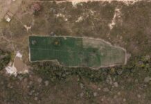 PF deflagra operação contra cultivo ilegal de maconha na Bahia, Pernambuco e em Alagoas