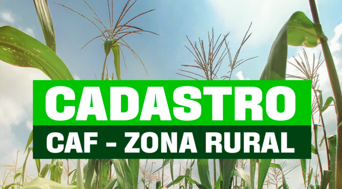 Secretaria de Agricultura, Pecuária e Pesca leva emissão itinerante do CAF às comunidades rurais de Casa Nova
