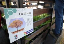 Prefeitura leva Carro da Planta para a praça Dom Malan nesta quarta-feira