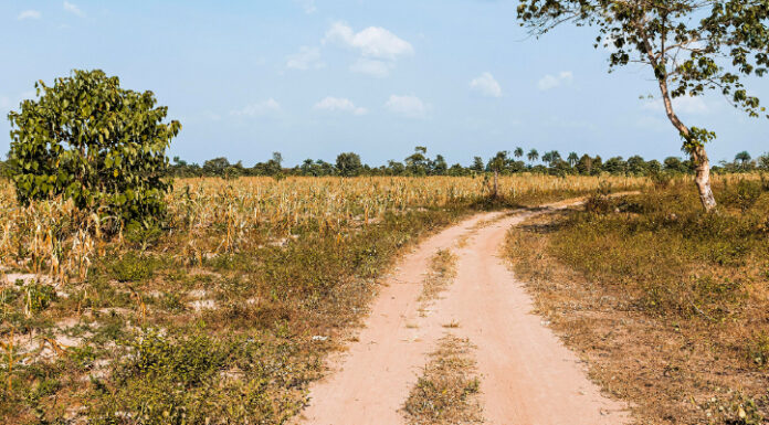 Lagoa Grande: Justiça confirma pedido do MPPE em ação e determina livre trânsito na Estrada da Barra Bonita
