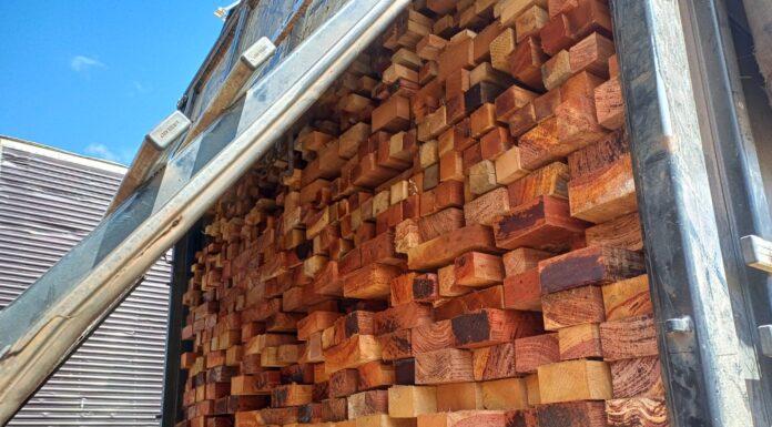 PRF apreende mais de 70 m³ de madeira nativa ilegal na BR-235, em Casa Nova