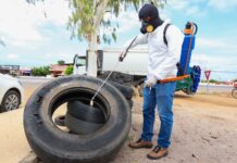 Prefeitura de Petrolina reforça ações de prevenção ao Aedes aegypti