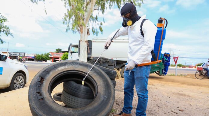 Prefeitura de Petrolina reforça ações de prevenção ao Aedes aegypti
