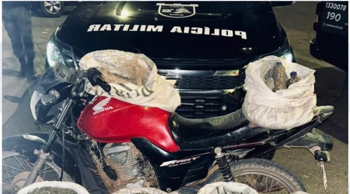 PM apreende mais de 48 kg de maconha na zona rural de Dormentes