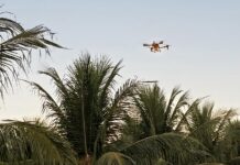Uso de drone agrícola será tema do Dia de Campo do 3⁰ Simpósio de Oportunidades de Negócios na Cultura de Coco