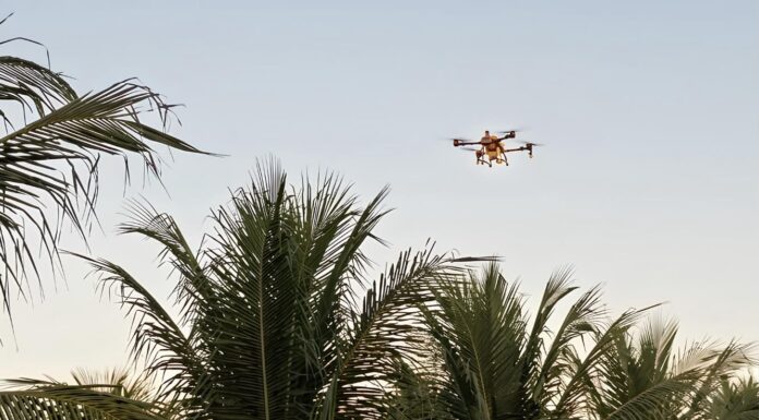 Uso de drone agrícola será tema do Dia de Campo do 3⁰ Simpósio de Oportunidades de Negócios na Cultura de Coco