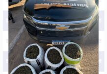 Polícia Militar apreende mais de 53 kg de maconha na zona rural de Dormentes