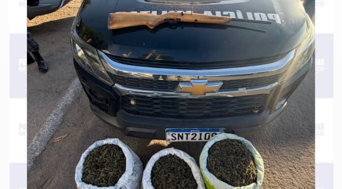 Polícia Militar apreende mais de 53 kg de maconha na zona rural de Dormentes