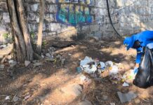 Petrolina e Juazeiro unem esforços em mutirão de limpeza na Ilha do Fogo