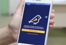 Pardal está no ar: aplicativo permite denunciar irregularidades de campanha