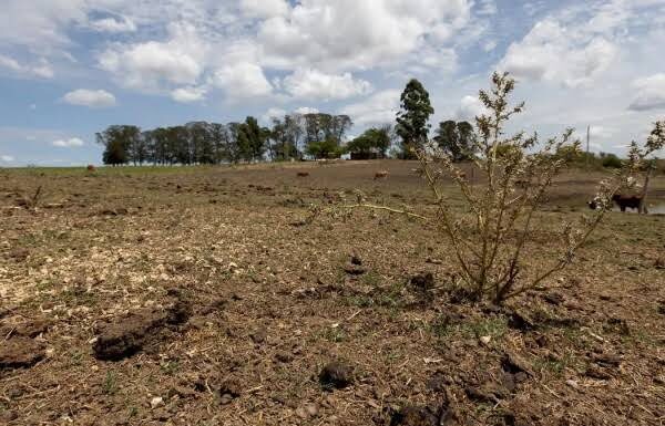 MDA anuncia R$ 849 milhões para estoques de milho e reforço de ações contra efeitos da seca e do El Niño no Semiárido pernambucano