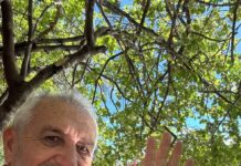 Morre Alvinho Patriota, ex-vereador de Salgueiro, aos 73 anos